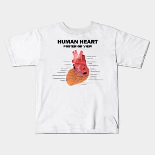 Anatomical Heart Human - Human Heart Posterior View Kids T-Shirt